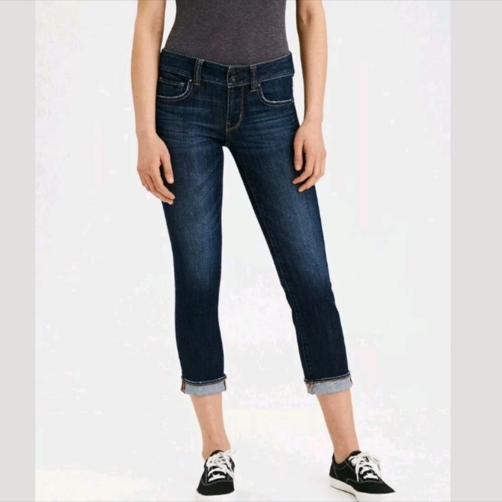 NWOT American Eagle Outfitters Artist Crop Jeans